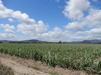 Calen QLD 4798 - Image 2