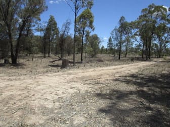 LOT 29 TARA KOGAN ROAD Tara QLD 4421 - Image 1