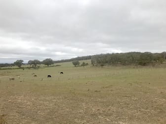 1407 Lumley Road Windellama NSW 2580 - Image 2