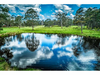 1465 Marengo Road Hernani NSW 2453 - Image 2