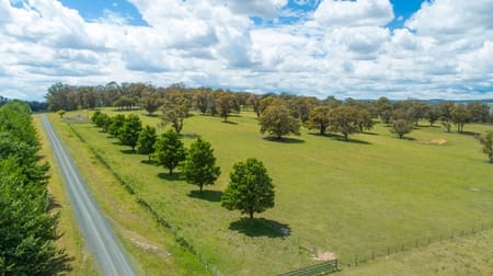 1220 Hartford Rd Walcha NSW 2354 - Image 1