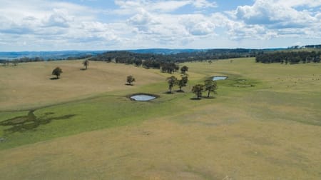 1220 Hartford Rd Walcha NSW 2354 - Image 2