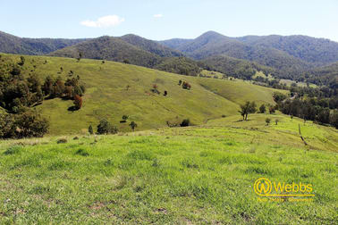 895 Bowman River Road Gloucester NSW 2422 - Image 2