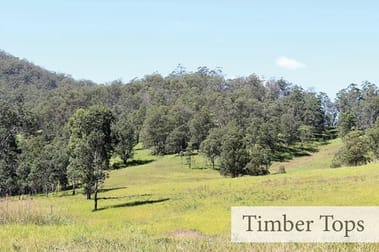 Proposed Lot 106 Mud Hut Road Gloucester NSW 2422 - Image 2