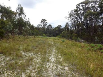 Lot 36 Torrington Road Torrington NSW 2371 - Image 3