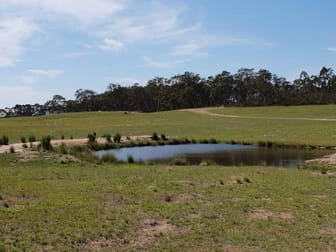 202 Silverstream Road Lower Boro NSW 2580 - Image 1