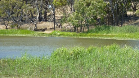6639 Hamilton Highway Cressy VIC 3322 - Image 1