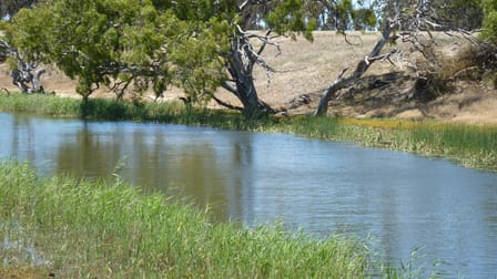6639 Hamilton Highway Cressy VIC 3322 - Image 2