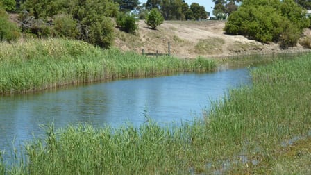 6639 Hamilton Highway Cressy VIC 3322 - Image 3