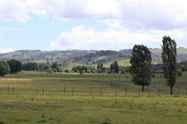 'Camlea'/3214 Mount Mitchell Road Glencoe NSW 2365 - Image 1