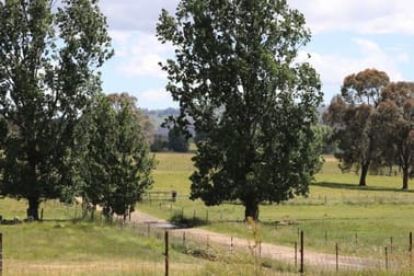 'Camlea'/3214 Mount Mitchell Road Glencoe NSW 2365 - Image 2