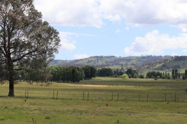 'Camlea'/3214 Mount Mitchell Road Glencoe NSW 2365 - Image 3
