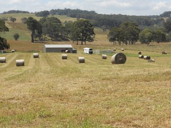 207 Sheepstation Forest Road Oberon NSW 2787 - Image 1