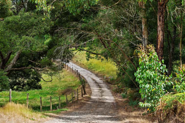 55 Daffys Lane Gellibrand VIC 3239 - Image 3