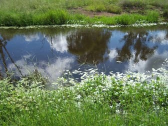 Click to view all images Off Mount Woowoonga Road, Via Biggenden Woowoonga QLD 4621 - Image 2