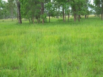 Click to view all images Off Mount Woowoonga Road, Via Biggenden Woowoonga QLD 4621 - Image 3