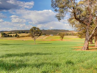 Berrima NSW 2577 - Image 1