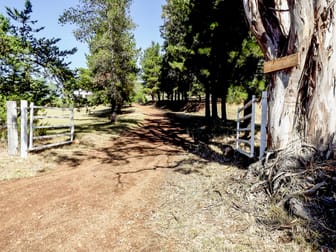 622 South Branch Maryvale QLD 4370 - Image 3
