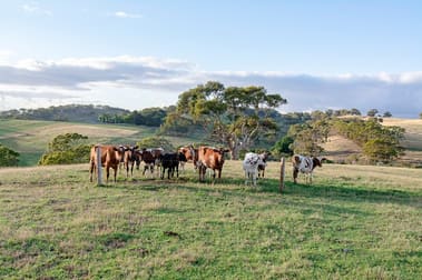 408 Paris Creek Road Paris Creek SA 5201 - Image 1