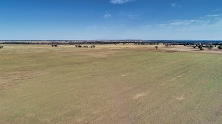 1 West Terramungermine Road Dubbo NSW 2830 - Image 1