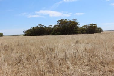 Lot M344 Mt Horner Road Yardarino WA 6525 - Image 1