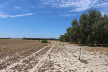 Lot M344 Mt Horner Road Yardarino WA 6525 - Image 2
