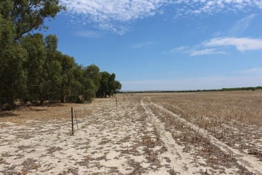 Lot M344 Mt Horner Road Yardarino WA 6525 - Image 3