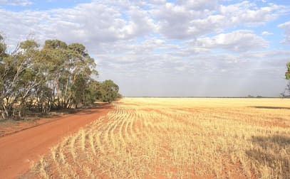 Heaths Road Boorga NSW 2652 - Image 2