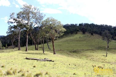 Curricabark Road Gloucester NSW 2422 - Image 3