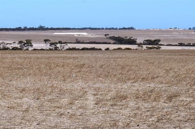 West Fitzgerald WA 6337 - Image 1