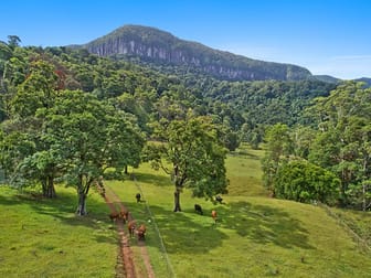 Numinbah NSW 2484 - Image 2