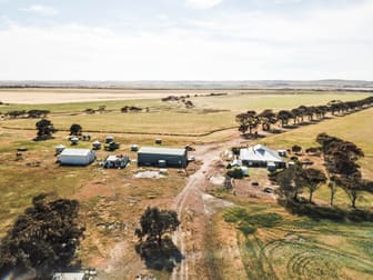 'Chillamurra'  1301 Tod Highway Wanilla SA 5607 - Image 1