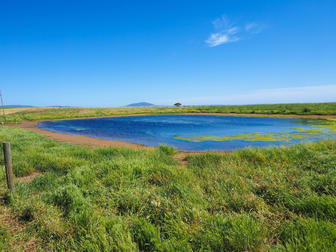 'Chillamurra'  1301 Tod Highway Wanilla SA 5607 - Image 3