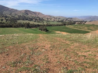 7413 Great Swifts Creek VIC 3896 - Image 2