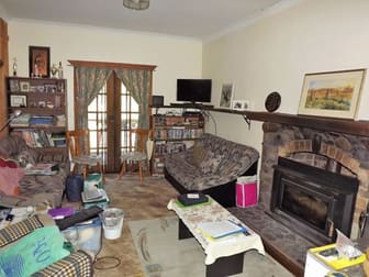 2639 Gulf Road Emmaville NSW 2371 - Image 3