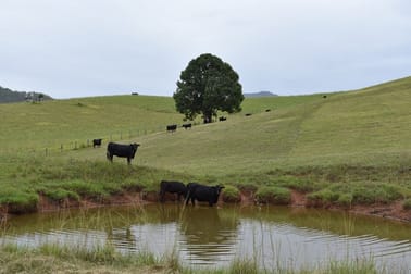 110 Kennaicle Creek Road Macksville NSW 2447 - Image 2