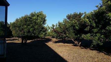Lot 100 Gilbert Road Greenough WA 6532 - Image 3