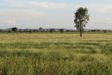 167 Pandora Road Alton Downs QLD 4702 - Image 2