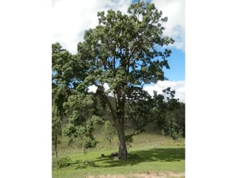 Drake NSW 2469 - Image 2