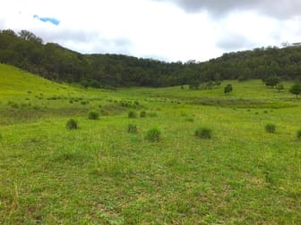 Lot 102 Putty Road Yengo NSW 2325 - Image 1