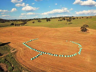 Bathurst NSW 2795 - Image 1