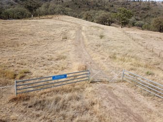 Pleasant Hills 4052 Halls Creek Road Bendemeer NSW 2355 - Image 1