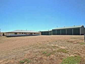 1431 Wybong Road Muswellbrook NSW 2333 - Image 2