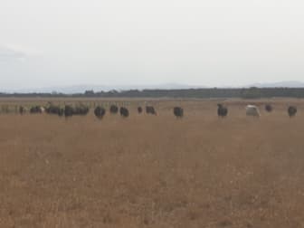 Lot 1 Kees Road Yarram VIC 3971 - Image 1