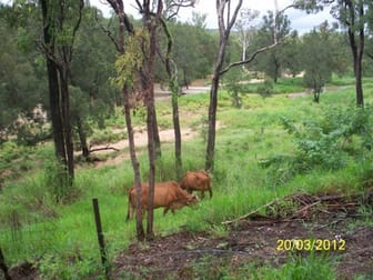 15384 Kennedy Highway Ravenshoe QLD 4888 - Image 1