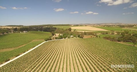 27 Gerald Roberts Road Seppeltsfield SA 5355 - Image 1