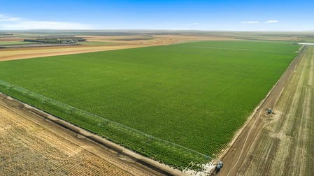 831 Jondaryan Saint Ruth Road Jondaryan QLD 4403 - Image 2