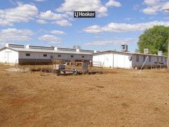 500 Havilah Park Road Inverell NSW 2360 - Image 1