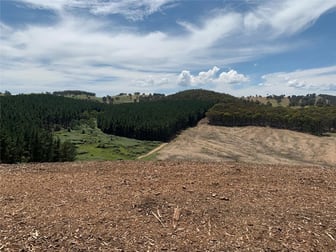 Lot 63 Glenroy Hills Road Glenroy NSW 2653 - Image 1