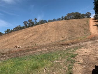 Lot 63 Glenroy Hills Road Glenroy NSW 2653 - Image 3